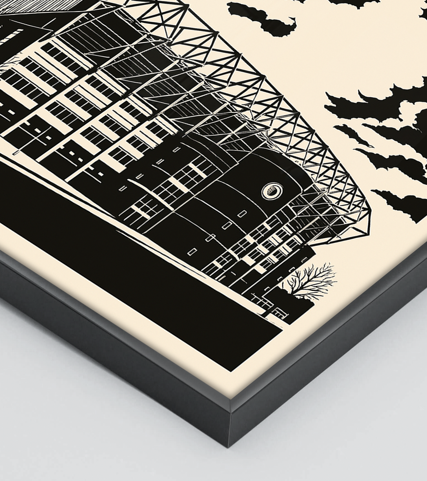 Iconic Stadiums: Newcastle