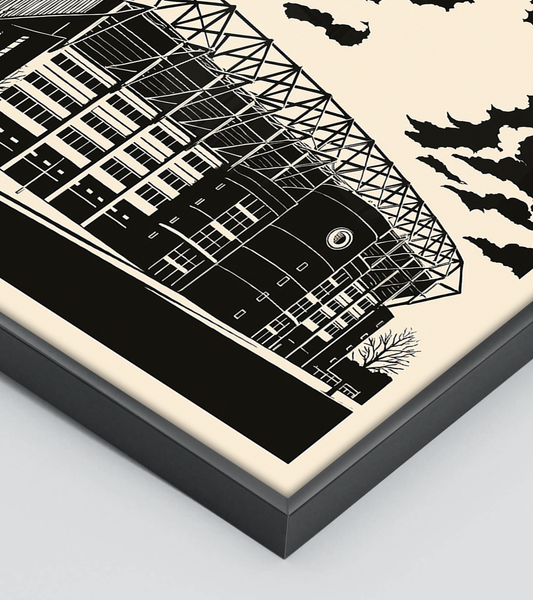 Iconic Stadiums: Newcastle